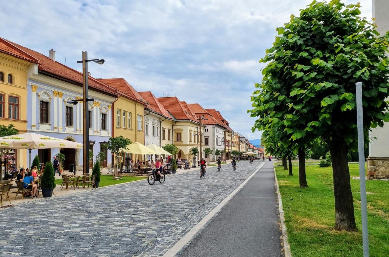Apartment In A Historical House In The Center Of Levoča Екстериор снимка